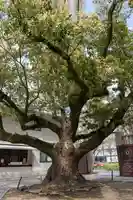 難波神社(大阪府)