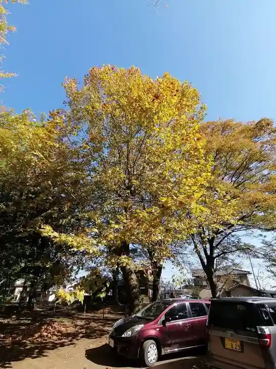 沓掛香取神社の自然