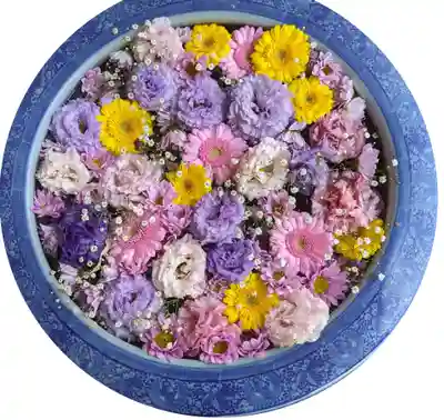 多賀神社の手水舎