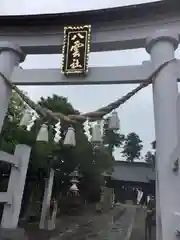 八雲神社の鳥居
