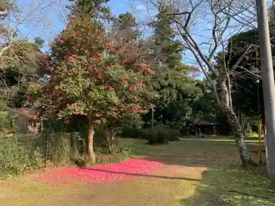 蓑毛神社の自然