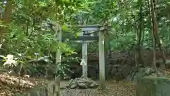 木嶋坐天照御魂神社の鳥居