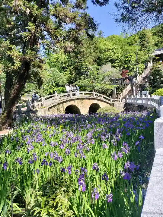菅原神社の{uncategorized: "未分類", other: "その他", undefined: "問題あり", building: "その他建物", grave: "お墓", sacred_gate: "鳥居", guardian: "狛犬", statue: "像", buddha: "仏像", history: "歴史", nature: "自然", garden: "庭園", animal: "動物", pagoda: "塔", temizu: "手水舎", mountain_gate: "山門・神門", sanctuary: "本殿・本堂", subordinate: "末社・摂社", art: "芸術", scenery: "景色", jizo: "地蔵", ema: "絵馬", goshuin: "御朱印", omikuji: "おみくじ", items: "授与品その他", amulet: "お守り", goshuincho: "御朱印帳", eats: "食事", festival: "お祭り", votive_dance: "神楽", shichigosan: "七五三参", wedding: "結婚式", experience: "体験その他", initially: "初詣", around: "周辺", anti_infection: "感染症対策"}