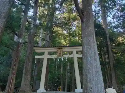 飛瀧神社(熊野那智大社別宮)(和歌山県)
