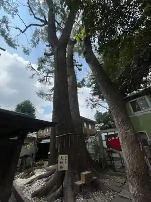 鳩ヶ谷氷川神社(埼玉県)