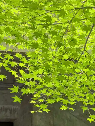 大正寺(東京都)