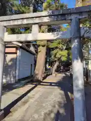 網一色 八幡神社(神奈川県)