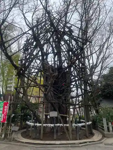 稲毛神社(神奈川県)