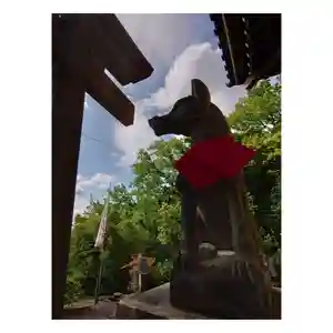 岐阜稲荷山本社の狛犬(2022年04月22日(金) 20時24分39秒投稿)