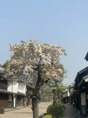 白鳥神社(長野県)
