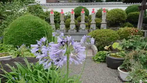 真言宗神道派大本山 宝珠院の地蔵