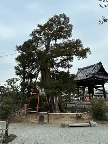 妙法寺の{uncategorized: "未分類", other: "その他", undefined: "問題あり", building: "その他建物", grave: "お墓", sacred_gate: "鳥居", guardian: "狛犬", statue: "像", buddha: "仏像", history: "歴史", nature: "自然", garden: "庭園", animal: "動物", pagoda: "塔", temizu: "手水舎", mountain_gate: "山門・神門", sanctuary: "本殿・本堂", subordinate: "末社・摂社", art: "芸術", scenery: "景色", jizo: "地蔵", ema: "絵馬", goshuin: "御朱印", omikuji: "おみくじ", items: "授与品その他", amulet: "お守り", goshuincho: "御朱印帳", eats: "食事", festival: "お祭り", votive_dance: "神楽", shichigosan: "七五三参", wedding: "結婚式", experience: "体験その他", initially: "初詣", around: "周辺", anti_infection: "感染症対策"}