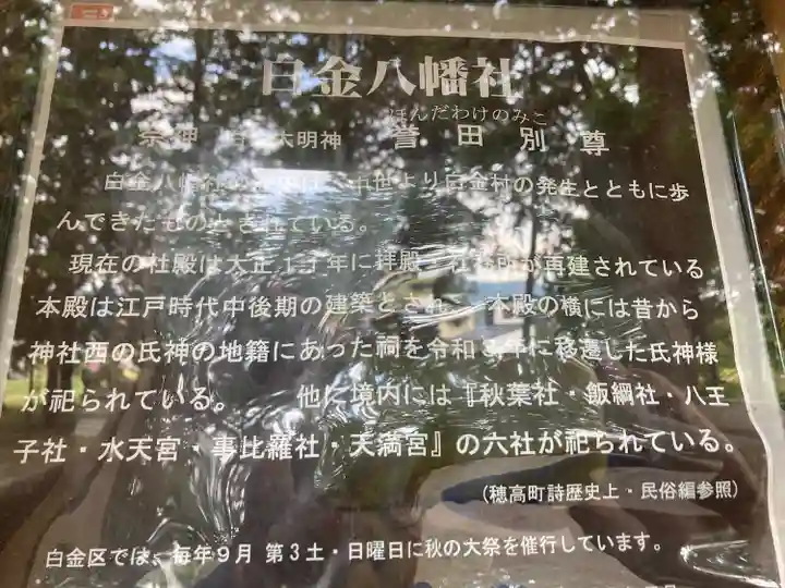 八幡社(白金八幡社)(長野県)
