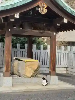 白金氷川神社の手水舎