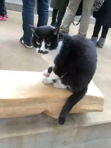 玉野御嶽神社(愛知県)