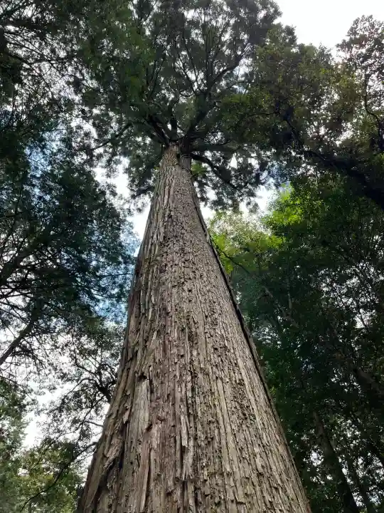 元伊勢内宮 皇大神社(京都府)