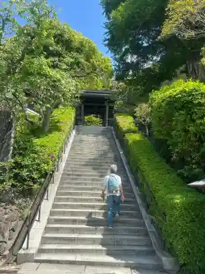 荏柄天神社の{uncategorized: "未分類", other: "その他", undefined: "問題あり", building: "その他建物", grave: "お墓", sacred_gate: "鳥居", guardian: "狛犬", statue: "像", buddha: "仏像", history: "歴史", nature: "自然", garden: "庭園", animal: "動物", pagoda: "塔", temizu: "手水舎", mountain_gate: "山門・神門", sanctuary: "本殿・本堂", subordinate: "末社・摂社", art: "芸術", scenery: "景色", jizo: "地蔵", ema: "絵馬", goshuin: "御朱印", omikuji: "おみくじ", items: "授与品その他", amulet: "お守り", goshuincho: "御朱印帳", eats: "食事", festival: "お祭り", votive_dance: "神楽", shichigosan: "七五三参", wedding: "結婚式", experience: "体験その他", initially: "初詣", around: "周辺", anti_infection: "感染症対策"}
