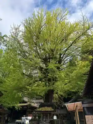 正法寺の{uncategorized: "未分類", other: "その他", undefined: "問題あり", building: "その他建物", grave: "お墓", sacred_gate: "鳥居", guardian: "狛犬", statue: "像", buddha: "仏像", history: "歴史", nature: "自然", garden: "庭園", animal: "動物", pagoda: "塔", temizu: "手水舎", mountain_gate: "山門・神門", sanctuary: "本殿・本堂", subordinate: "末社・摂社", art: "芸術", scenery: "景色", jizo: "地蔵", ema: "絵馬", goshuin: "御朱印", omikuji: "おみくじ", items: "授与品その他", amulet: "お守り", goshuincho: "御朱印帳", eats: "食事", festival: "お祭り", votive_dance: "神楽", shichigosan: "七五三参", wedding: "結婚式", experience: "体験その他", initially: "初詣", around: "周辺", anti_infection: "感染症対策"}