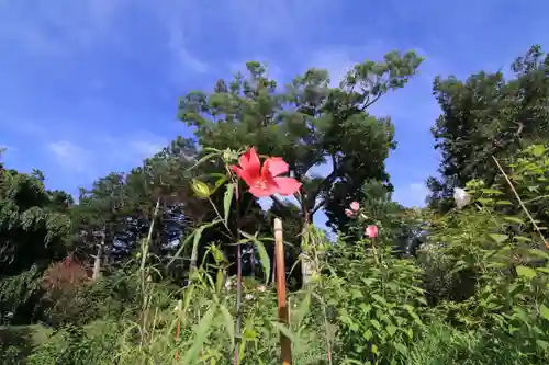 阿久津「田村神社」（郡山市阿久津町）旧社名：伊豆箱根三嶋三社の庭園