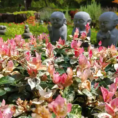 寿量山 速成寺(奈良県)