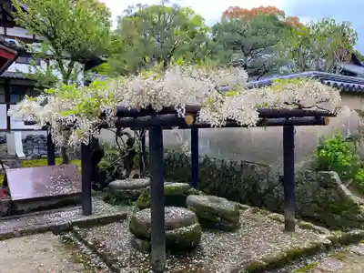 唐招提寺のその他建物