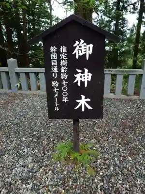 戸隠神社中社(長野県)