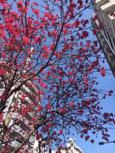 素盞雄神社の自然