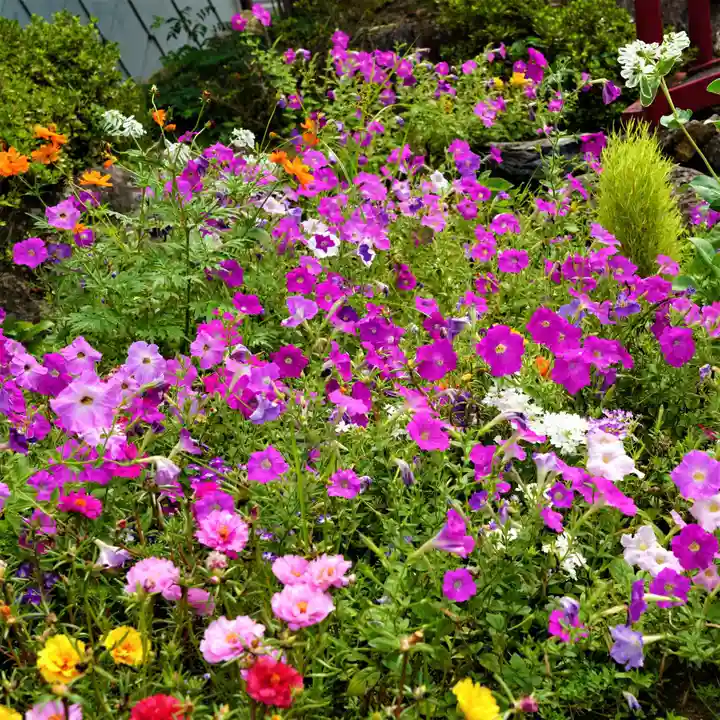 大鏑神社の自然