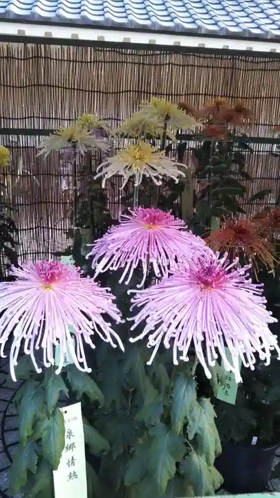 八幡神社の自然