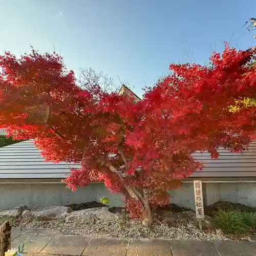 伊勢の国 四天王寺(三重県)