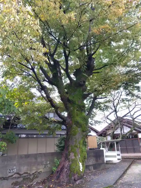 白山神社(福井県)
