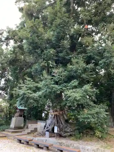 揖夜神社の自然