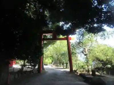 伊豆山神社(静岡県)