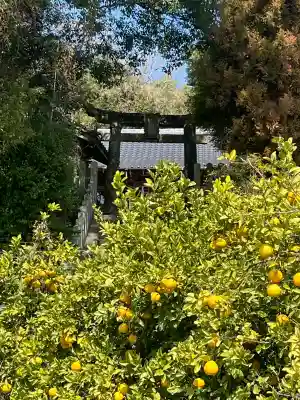 河内阿蘇神社の{uncategorized: "未分類", other: "その他", undefined: "問題あり", building: "その他建物", grave: "お墓", sacred_gate: "鳥居", guardian: "狛犬", statue: "像", buddha: "仏像", history: "歴史", nature: "自然", garden: "庭園", animal: "動物", pagoda: "塔", temizu: "手水舎", mountain_gate: "山門・神門", sanctuary: "本殿・本堂", subordinate: "末社・摂社", art: "芸術", scenery: "景色", jizo: "地蔵", ema: "絵馬", goshuin: "御朱印", omikuji: "おみくじ", items: "授与品その他", amulet: "お守り", goshuincho: "御朱印帳", eats: "食事", festival: "お祭り", votive_dance: "神楽", shichigosan: "七五三参", wedding: "結婚式", experience: "体験その他", initially: "初詣", around: "周辺", anti_infection: "感染症対策"}