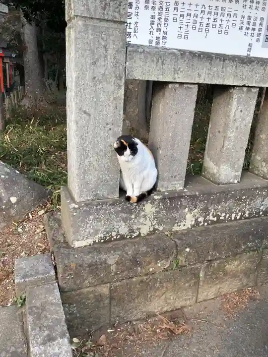 間々田八幡宮(栃木県)