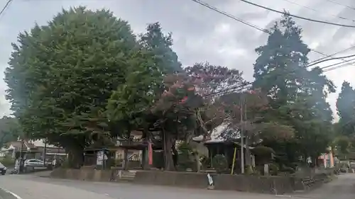 祐照庵　大戸観音堂(東京都)