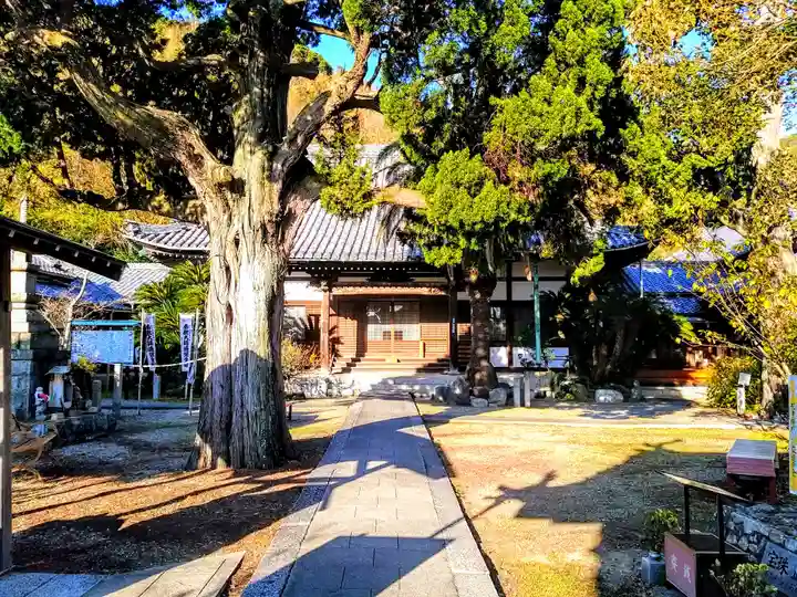 良参寺の本殿・本堂