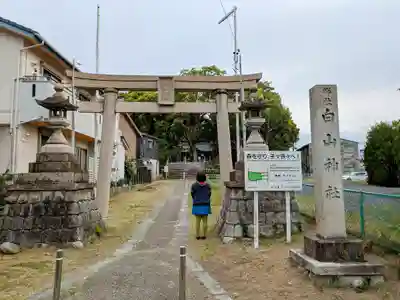 白山神社(市場)の鳥居