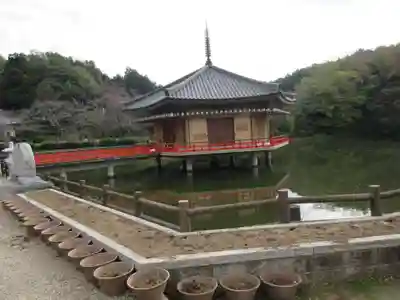 安倍文殊院 の本殿・本堂