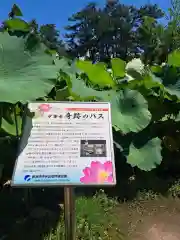 白山神社(新潟県)