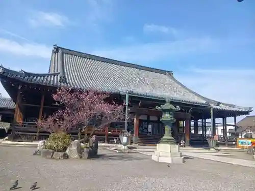 大通寺（長浜御坊）(滋賀県)