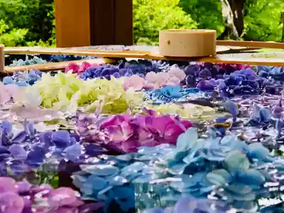 土津神社|こどもと出世の神さまの手水舎