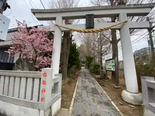 越谷香取神社の鳥居