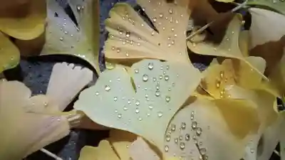 阿邪訶根神社(福島県)