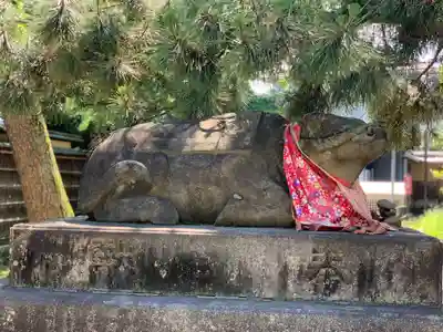 北野天満宮の狛犬