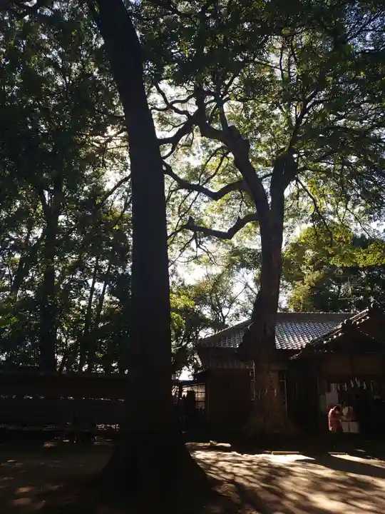 氷川女體神社のその他建物