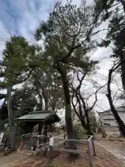 観音寺（世田谷山観音寺）(東京都)