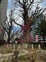 磐井神社の{uncategorized: "未分類", other: "その他", undefined: "問題あり", building: "その他建物", grave: "お墓", sacred_gate: "鳥居", guardian: "狛犬", statue: "像", buddha: "仏像", history: "歴史", nature: "自然", garden: "庭園", animal: "動物", pagoda: "塔", temizu: "手水舎", mountain_gate: "山門・神門", sanctuary: "本殿・本堂", subordinate: "末社・摂社", art: "芸術", scenery: "景色", jizo: "地蔵", ema: "絵馬", goshuin: "御朱印", omikuji: "おみくじ", items: "授与品その他", amulet: "お守り", goshuincho: "御朱印帳", eats: "食事", festival: "お祭り", votive_dance: "神楽", shichigosan: "七五三参", wedding: "結婚式", experience: "体験その他", initially: "初詣", around: "周辺", anti_infection: "感染症対策"}