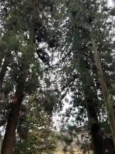 大宮温泉神社(栃木県)(2024年02月22日(木) 14時03分25秒投稿)