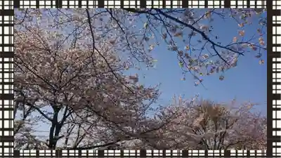 於菊稲荷神社(群馬県)